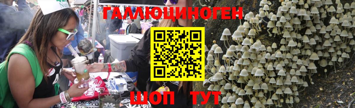 Псилоцибиновые грибы Psilocybe  Вход с VPN  Шахты  Галлюциногенные грибы ЛСД 